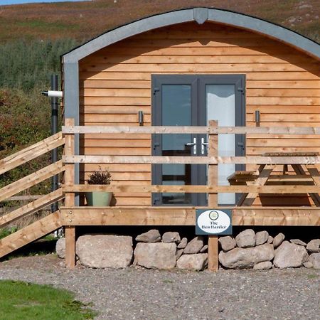 The Hen Harrier - 4 Person Luxury Glamping Cabin Дангарван Екстер'єр фото